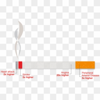 Cigarette Infographic Showing Risks Of Smoking, HD Png Download