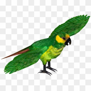 Yellow Eared Parrot , Png Download - Macaw, Transparent Png