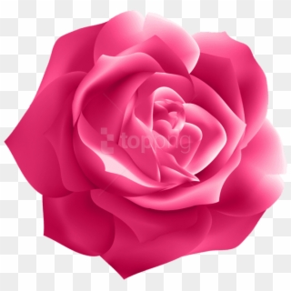 Free Png Pink Rose Deco Png Images Transparent - Transparent Dark Purple Flower, Png Download