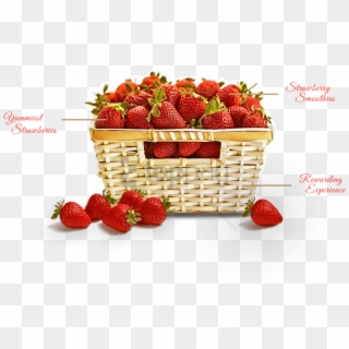 Free Png Format Big - Strawberry, Transparent Png