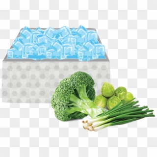 Clip Library Library Pre Cooling Methods For Vegetables - Ice Cooling Of Fruits And Vegetables, HD Png Download
