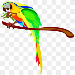 Free Parrot And Macaw Clipart - Australian Parrots Clipart, HD Png Download