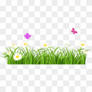 Free Png Download Grass And Butterflies Png Images - Flowers Clipart Transparent Background, Png Download