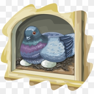 Illustrations - Pigeons And Doves, HD Png Download