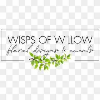 Wisps Of Willow - Calligraphy, HD Png Download