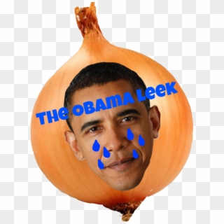 Lgbt Students On What It's Like Being Queer At Obama - Pumpkin, HD Png Download