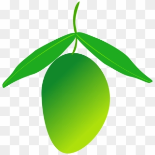 Mango Fruit Food Healthy Png Image - Green Mango Clipart Png, Transparent Png