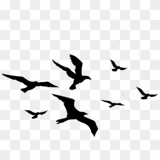 #ftestickers #birds #silhouette #flock #animal #bird - Jashlem, HD Png Download