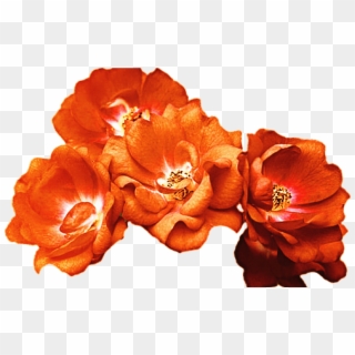 15 Red Flower Crown Png For Free Download On Mbtskoudsalg - Orange Flower Crown Png, Transparent Png