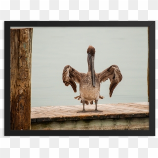 Picture Frame, HD Png Download