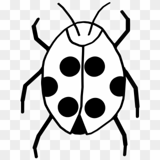 Black And White Ladybug Clipart - Bug Clipart Black And White, HD Png Download
