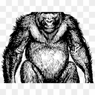 Gorilla Clipart Mammal - Ape Vector, HD Png Download