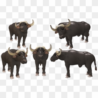 Water Buffalo Transparent Images Png - Buffalo Creature, Png Download