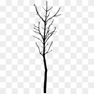 Free Png Bare Tree Silhouette Png Images Transparent - Silhouette, Png Download