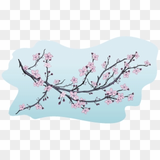 Blossom Illustration Decorative Illustrations Of - Cherry Blossom, HD Png Download