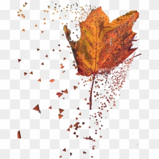 #autumn #leaf - Autumn, HD Png Download