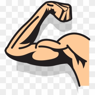 Strong Arm Drawing At Getdrawings - Transparent Png Cartoon Arms, Png Download