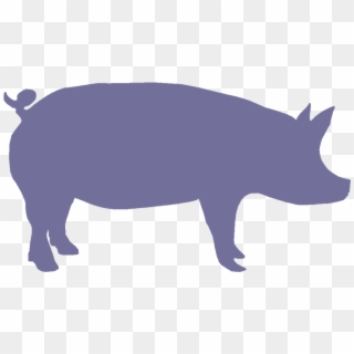 Show Pig Silhouette - Blue Pig Silhouette, HD Png Download