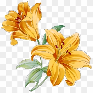 Lily Watercolor Png, Transparent Png