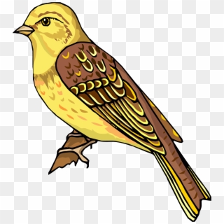Staying Realistic Bird Clipart Png - Clipart Pictures Of Bird, Transparent Png
