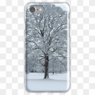 Snowy Tree Iphone 7 Snap Case - Mobile Phone Case, HD Png Download