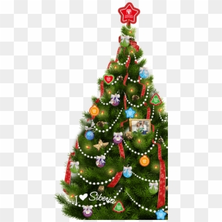¡nuestro Árbol De Navidad Sabe Lo Que Le Espera En - Christmas Tree, HD Png Download