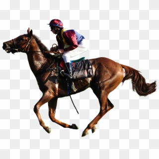 Horse Race Png - Jockey On Horse Png, Transparent Png
