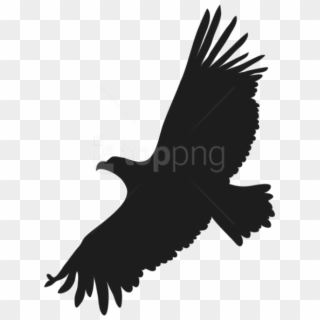 Free Png Flying Eagle Png - Black Birds Fly Clipart, Transparent Png