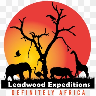 For A Classic Safari, Nothing Beats Kenya Safari - Leadwood Expeditions, HD Png Download