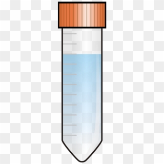 Sample Vial Phial Probe Png Image - Falcon Tube, Transparent Png