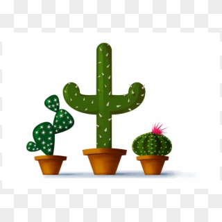 1280 X 960 14 0 - Draw A Cactus In Photoshop, HD Png Download
