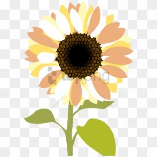 Free Png Sunflower Clipart Png Png Image With Transparent - Peace Love And Mercy, Png Download