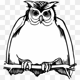Horned Owl Clipart Black And White - Clipart Harry Potter Owl, HD Png Download