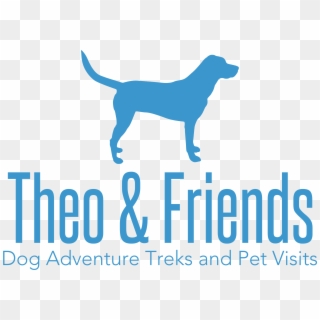 Dog Walking, Pet Sitting, And Adventure Treks By Theo - Hunting Dog, HD Png Download