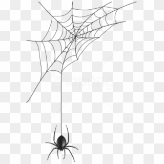 Spider Man Web Png - Transparent Spider Web Vector, Png Download