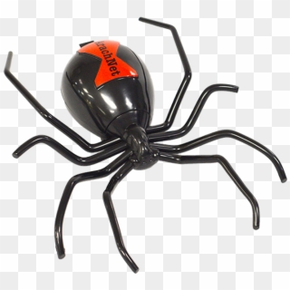 Arachnet Features - Black Widow, HD Png Download