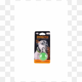 Doglite Pendant Green-600x600 - Snout, HD Png Download