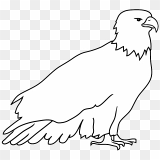 Resting Bald Eagle Drawing - Bald Eagle, HD Png Download