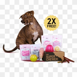 Barkbox, A Monthly Box Of Dog Goodies Starting At $22 - Boxer, HD Png Download