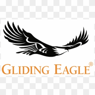 Gliding Eagle, HD Png Download