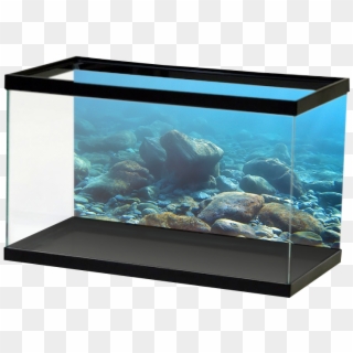 Aquariumvinyl - Aquarium Backgrounds Canada, HD Png Download