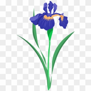 Iris Cliparts - Blue Iris Flower Clip Art, HD Png Download