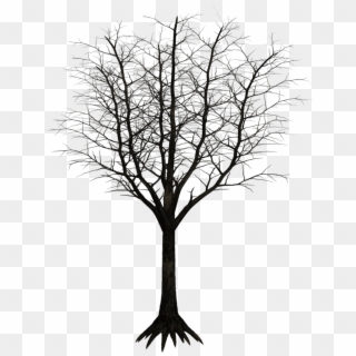 Free Download Monochrome Photography Clipart Twig Black - Dark Trees Png, Transparent Png