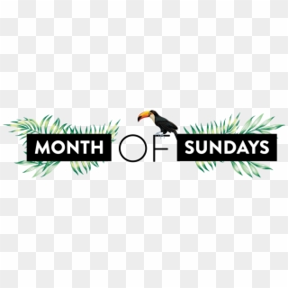 Month Of Sundays Does Icons W/ Low Life's Rooftop Disco - Graphic Design, HD Png Download