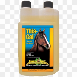 Thia Cal Liqu - Horse, HD Png Download