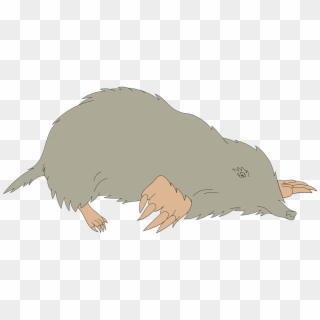 Gray Hole Ground Animal Claws Png Image - Dead Mole Clipart, Transparent Png