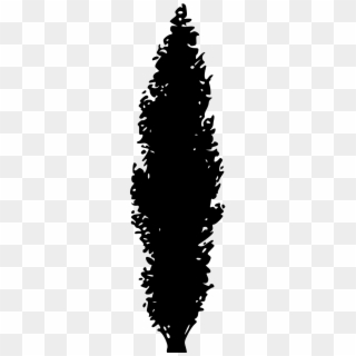 Tree Nature Silhouette Forest Png Image - Pine Tree Silhouette, Transparent Png