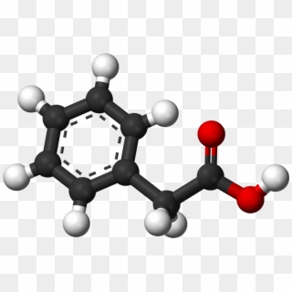 Phenylacetic Ac - Carboxylic Acid 3d Structure, HD Png Download