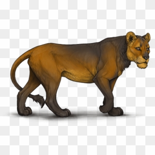 Mhym5ag - Lioden Neutral Lioness, HD Png Download
