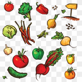 Drawing Vegetables Group Vegetable, HD Png Download